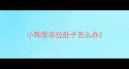 小狗受凉拉肚子怎么办