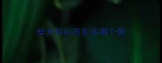 柴犬和拉布拉多哪个贵