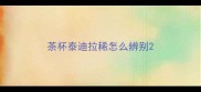 茶杯泰迪拉稀怎么辨别