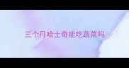 三个月哈士奇能吃蔬菜吗