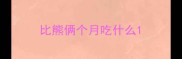 比熊俩个月吃什么