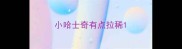 小哈士奇有点拉稀