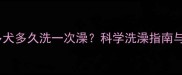 北京拉布拉多犬多久洗一次澡科学洗澡指南与常见误区全