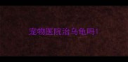 宠物医院治乌龟吗