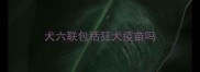 犬六联包括狂犬疫苗吗