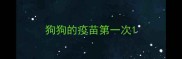 狗狗的疫苗第一次