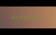哈士奇发烧拉肚子