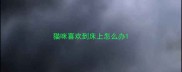 猫咪喜欢到床上怎么办