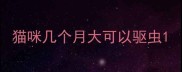 猫咪几个月大可以驱虫