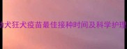 狗狗幼犬狂犬疫苗最佳接种时间及科学护理指南