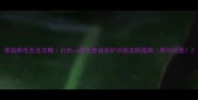 泰迪熊毛色全攻略白色vs黑色泰迪养护训练选购指南附对比图