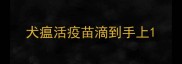 犬瘟活疫苗滴到手上