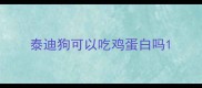 泰迪狗可以吃鸡蛋白吗