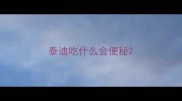 泰迪吃什么会便秘