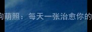 治愈系小狗萌照每天一张治愈你的可爱瞬间