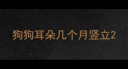 狗狗耳朵几个月竖立