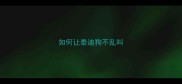 如何让泰迪狗不乱叫