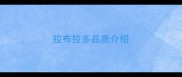 拉布拉多品质介绍