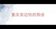 重庆卖边牧的狗舍