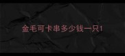 金毛可卡串多少钱一只