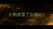 小狗感冒了会呕吐