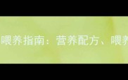 两个月大土狗的科学喂养指南营养配方喂养频率与注意事项全