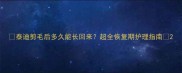 泰迪剪毛后多久能长回来超全恢复期护理指南