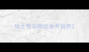 哈士奇从刚出生开始养