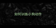 如何训练小狗动作