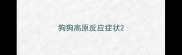 狗狗高原反应症状