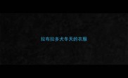 拉布拉多犬冬天的衣服
