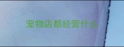 宠物店都经营什么