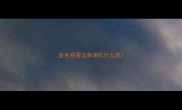 金毛感冒流鼻涕吃什么药