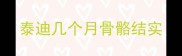 泰迪几个月骨骼结实