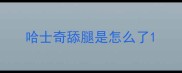 哈士奇舔腿是怎么了