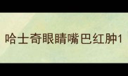 哈士奇眼睛嘴巴红肿