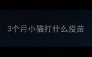 3个月小猫打什么疫苗