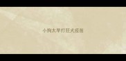 小狗太早打狂犬疫苗