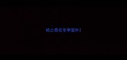 哈士奇在冬季室外