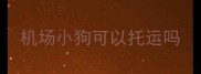 机场小狗可以托运吗