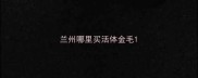 兰州哪里买活体金毛