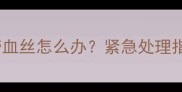 小狗狗拉肚子带血丝怎么办紧急处理指南与兽医建议