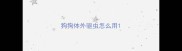 狗狗体外驱虫怎么用