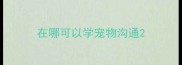 在哪可以学宠物沟通