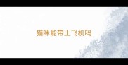 猫咪能带上飞机吗