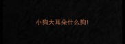 小狗大耳朵什么狗