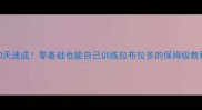 30天速成零基础也能自己训练拉布拉多的保姆级教程