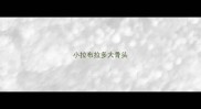 小拉布拉多大骨头