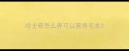 哈士奇怎么养可以营养毛发