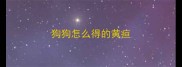 狗狗怎么得的黄疸